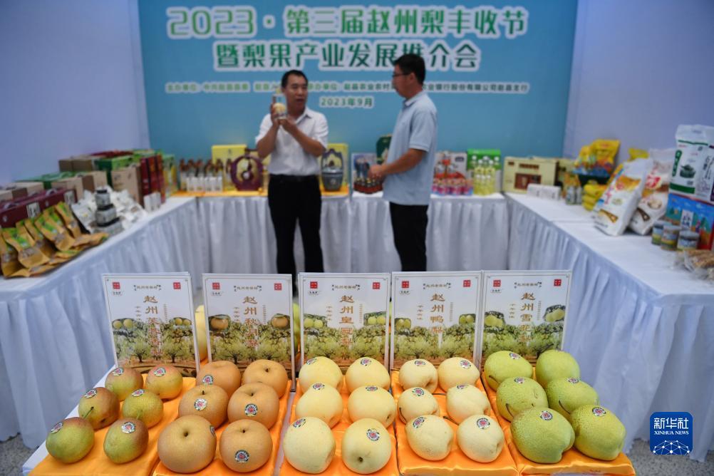 捕鱼大圣闹海